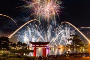 Mixed 2 shots for this Illuminations Finale.