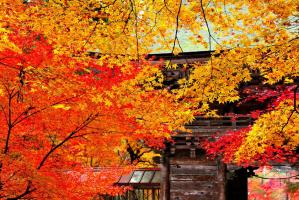 132436179504013221321_12-15