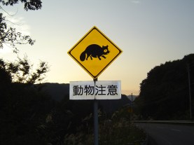 1503615607_65d550bb6a_o