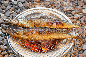 d8633a7c05eec220eb4df8351f12b848