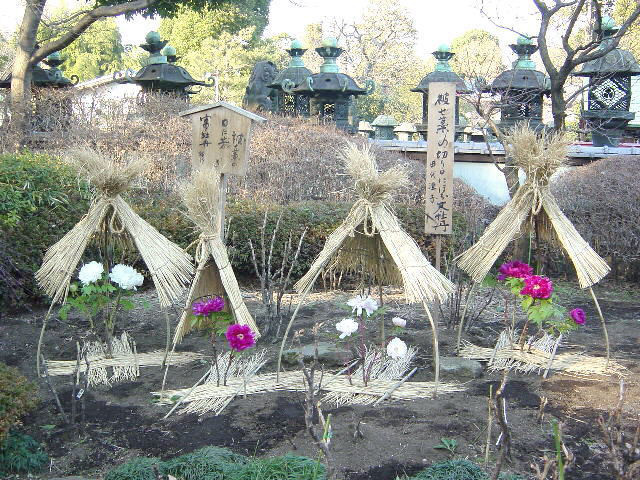 o0640048013841799673